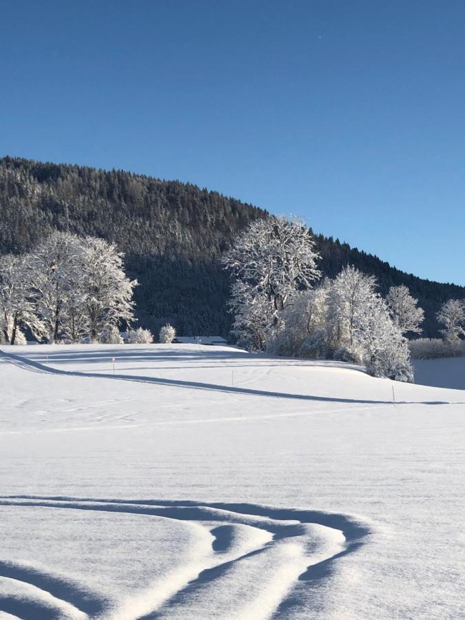 Lindenhof Inzell - Fewo Mit Chiemgaukarte エクステリア 写真